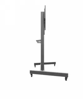 Alternative view of Edbak Monitor trolley TR19 130KG 1000x600