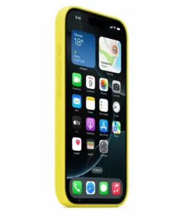 Apple Silicone case with MagSafe for iPhone 16 Pro – Star Fruit
