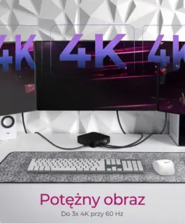 IcyBox ICY BOX IB-DK4090-C 12in1