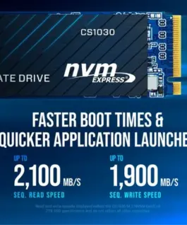 PNY SSD 1TB M.2 2280 BULK M280CS1030-1TB-SI