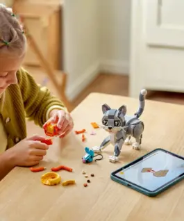 LEGO Blocks Creator 31163 Playful Cat