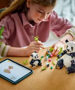 LEGO Bricks Creator 31165 Wild Animals: Panda Family