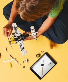 LEGO LEGO Technic 42198 Bush Plane
