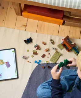 LEGO Bricks Minecraft 21269 The Armadillo Mine Expedition