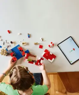 LEGO Bricks Minecraft 21270 The Mooshroom House