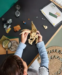 LEGO LEGO Jurassic World 76969 Dinosaur Fossils: Triceratops Skull