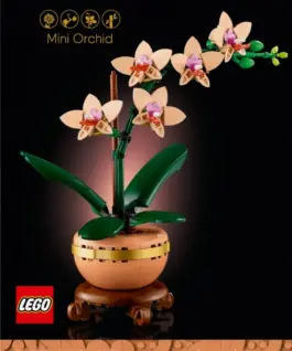 LEGO LEGO Botanicals 10343 Mini Orchid