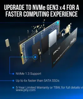 PNY SSD 2TB M.2 2280 PCIe CS1030 M280CS1030-2TB-RB - Image 5