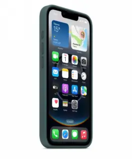 Apple Silicone case for iPhone 16e – Lake зелен