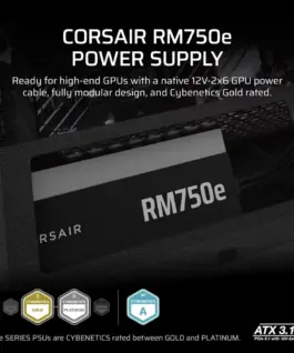 Corsair RM750e PCIe 5.1 80+GOLD F.MODULAR ATX3.1