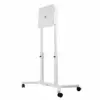 Edbak EDBAK TRF100 LFD 40KG 55-65* VESA 200X200-400X400 FLIP