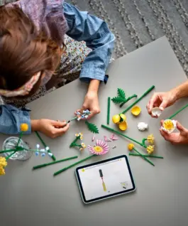 LEGO LEGO Botanicals 10347 Petite Sunny Bouquet