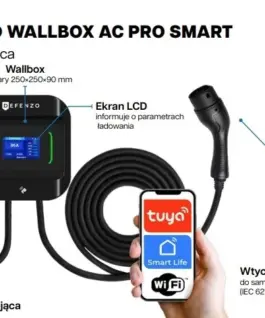 Defenzo Wallbox AC22 SMART