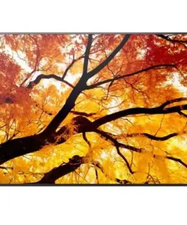 Sharp MultiSync M552 Large-Format монитор - 55 inches 550 cd/m2 24/7 Operation