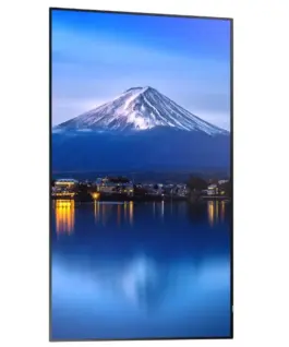 Sharp MultiSync P556 Large Format монитор – 55-inch UHD