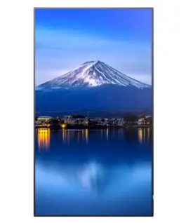 Sharp MultiSync P556 Large Format монитор – 55-inch UHD