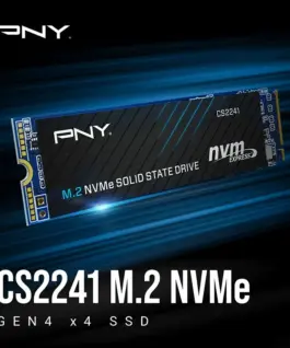 PNY SSD 1TB M.2 2280 CS2241 M280CS2241-1TB-RB