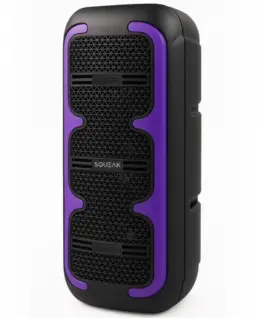 SQUEAK Bluetooth karaoke speaker BeatOne SQ1009