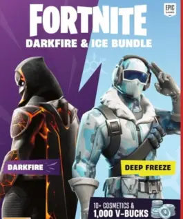 Cenega Game Nintendo Switch 2 Fortnite Darkfire & Ice Bundle