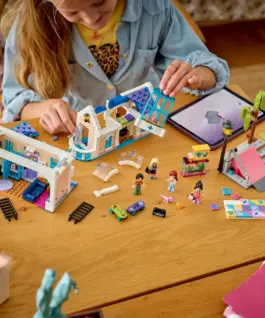 LEGO Blocks Friends 42687 Lianns Family House