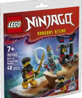 LEGO Ninjago Blocks 30700 Arina`s Battle with Dragon