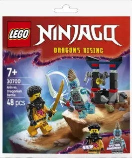 LEGO Ninjago Blocks 30700 Arina`s Battle with Dragon