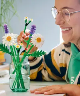 LEGO Blocks Botanicals 11508 Daisies