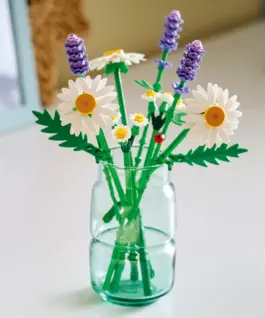 LEGO Blocks Botanicals 11508 Daisies
