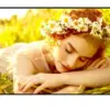 LG Electronics Monitor 65UL5Q-E 500cd/m2 UHD 24/7