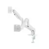 Gembird Desk arm for two monitors adjustable from 17 to 32 inches load capacity up to 10 kg