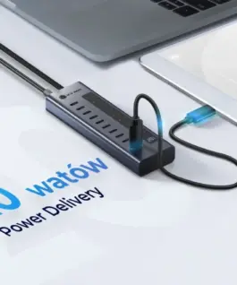IcyBox ICY BOX IB-HUB1450-C31 10 x USB TYPE-C Gen 2