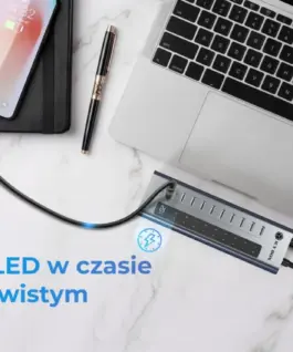 IcyBox ICY BOX IB-HUB1450-C31 10 x USB TYPE-C Gen 2