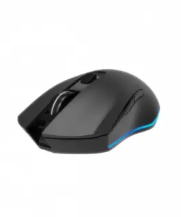 Gembird Mouse 6-button rechargeable wireless RGB gaming мишка Firebolt