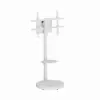 Gembird GEMBIRD TV stand бял 37-86-inch бял