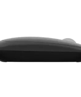 Natec Mouse Lark wireless 4000DPI