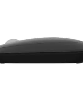 Natec Mouse Lark wireless 4000DPI