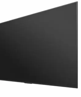 Hisense Monitor 100DM66E 100 inches 4K VA DS Display 24/7