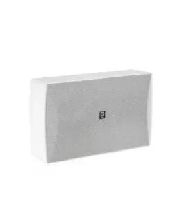 Avtek Wall-mounted speaker WS 510