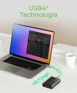 IcyBox IB-1920M-C42 NVMe SSD