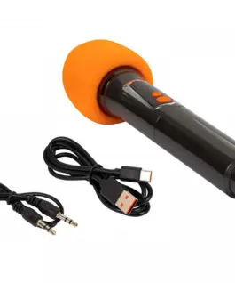 BLOW Karaoke speaker Infinity 10 inch
