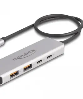 USB хъб Delock 64230 USB-C - 2 x USB-C 2 x USB-A 10 Gbps