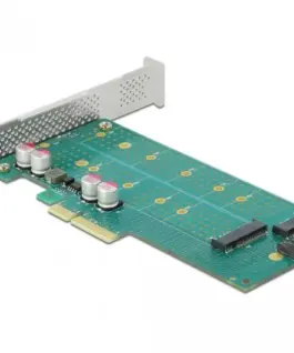 Карта PCI Express x4 Delock към 1x M.2 Key B + 1x M.2 NVMe M.2 Key M