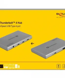 Хъб Delock Thunderbolt