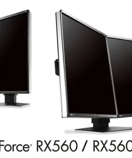 Медицински монитор EIZO RadiForce RX560 5MP Цветен