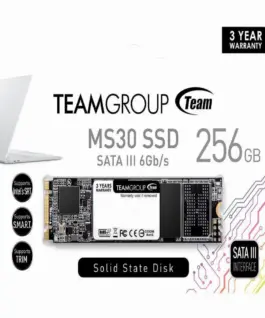 Alternative view of SSD диск Team Group MS30 M.2 2280 256GB SATA III