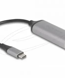 Delock Мрежов адаптер USB Type-C към 5 GbpsLAN