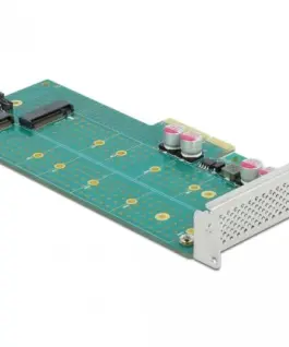 Карта PCI Express x4 Delock към 1x M.2 Key B + 1x M.2 NVMe M.2 Key M