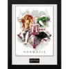 GBEYE HARRY POTTER - Framed print "Hogwarts Water Colour" (30x40)