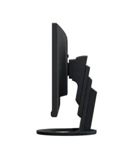 Монитор EIZO FlexScan EV2490
