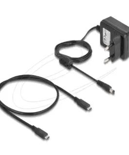 Delock M.2 Докинг станция за 2 x M.2 NVMe